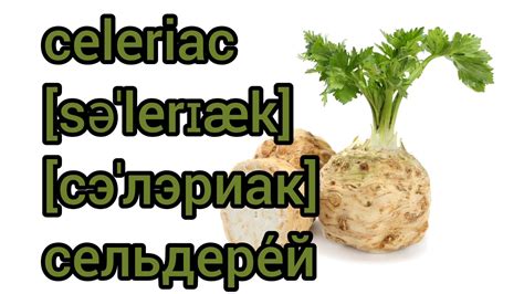 celeriac pronunciation